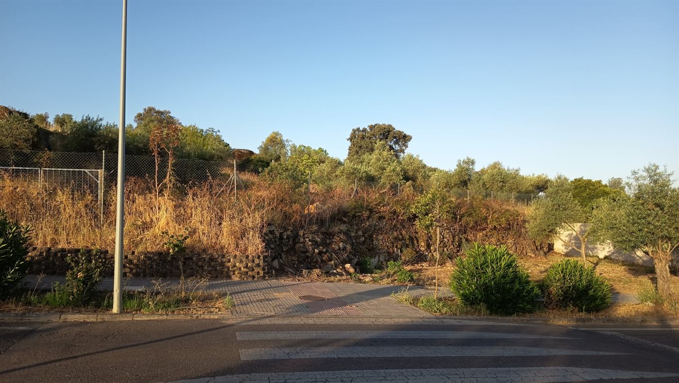 Terreno urbanizable en venta en Barcarrota visto desde la carretera de Salvaleón