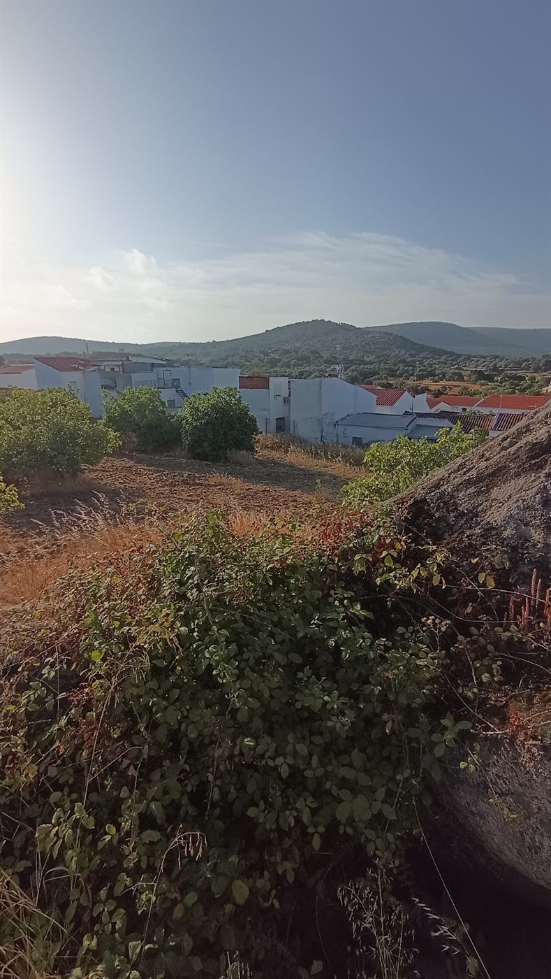 Casas de Barcarrota y sierra al fondo vistas desde el terreno