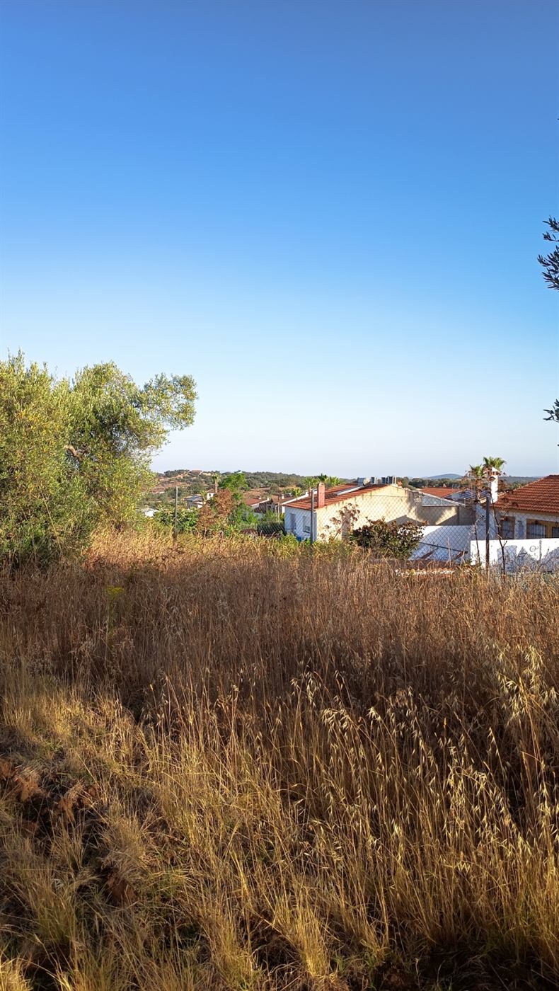 Vistas de las casas de Barcarrota desde el interior de la parcela