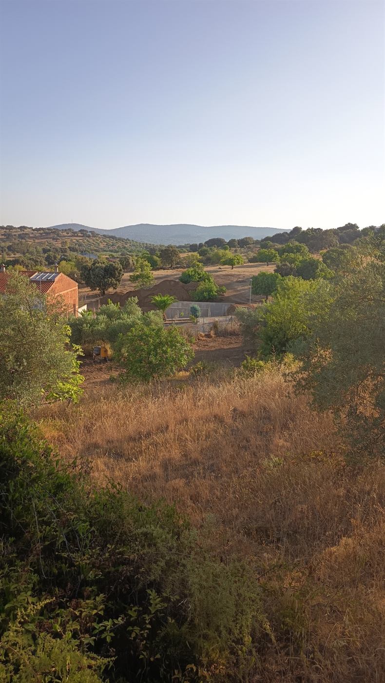 Casas del pueblo y dehesa de encinas vistas desde el terreno