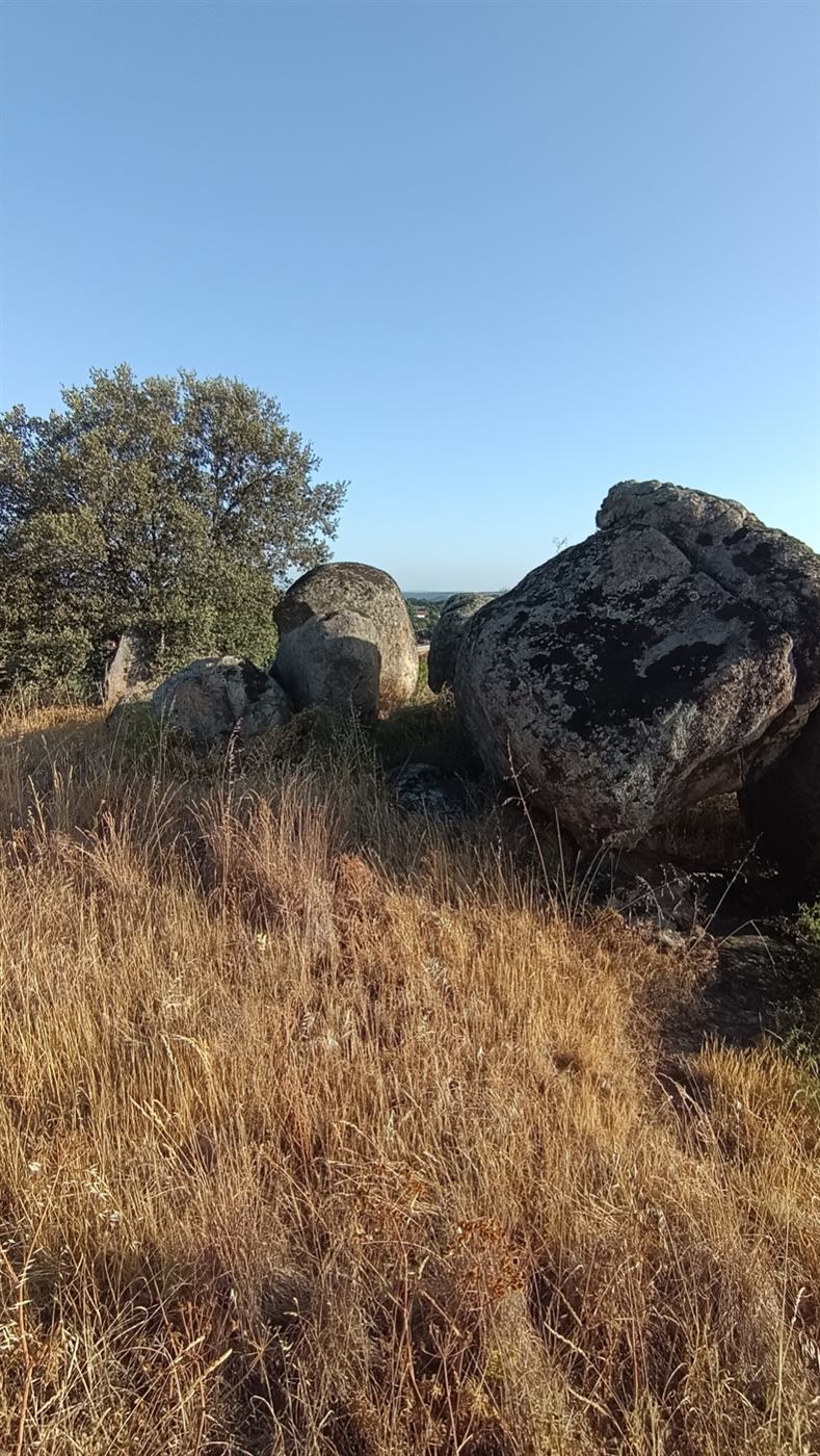 Conjunto de bolos graníticos entre pastos en el terreno en venta