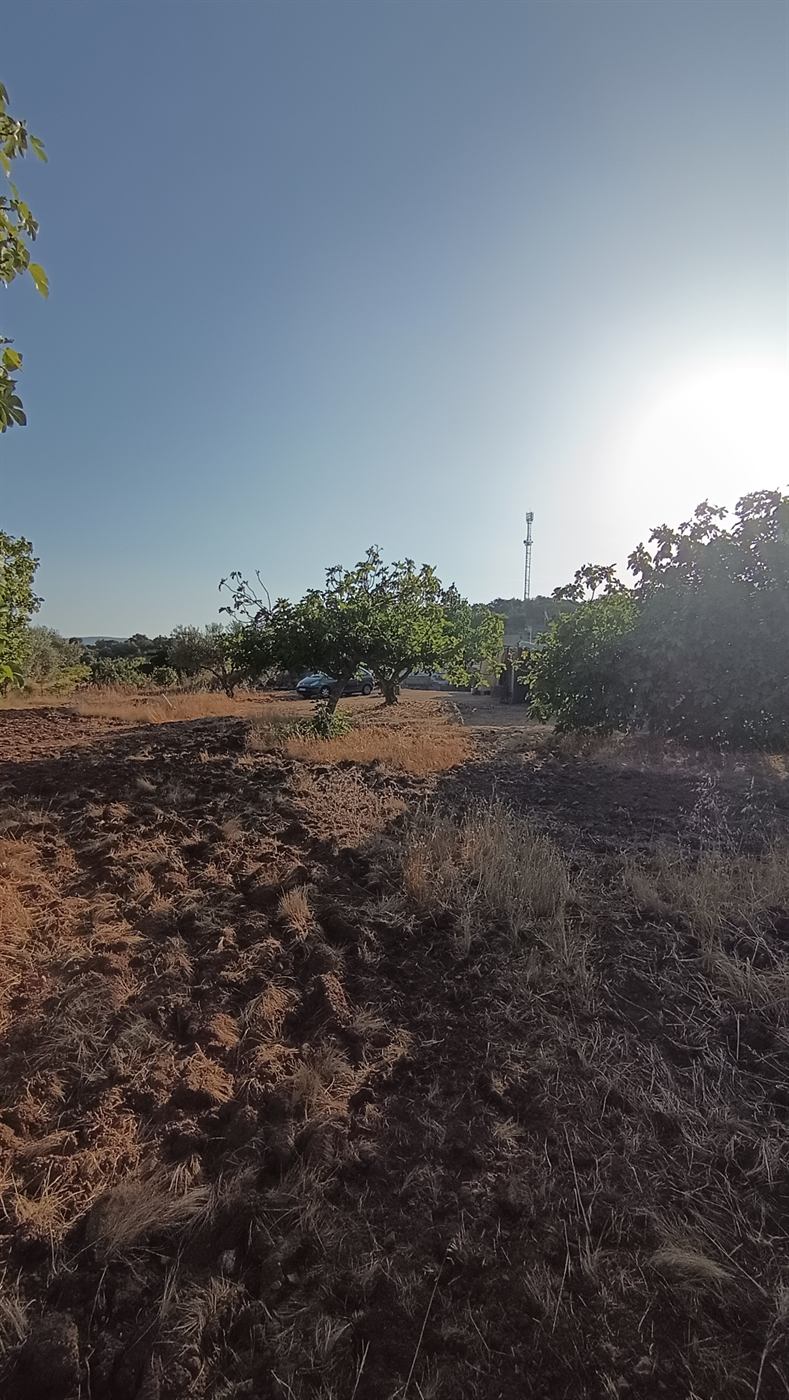 Zona de acceso en el interior del terreno, con espacio para aparcar