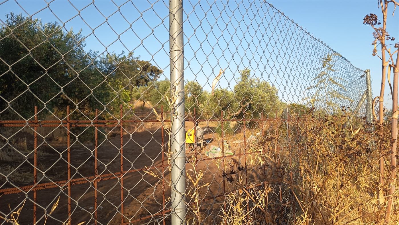 Vallado perimetral de malla y olivos del terreno urbanizable en venta