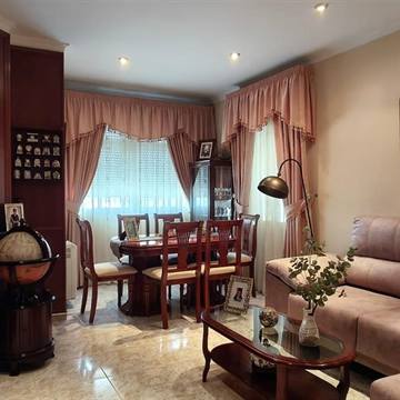 Ver el salón con chimenea