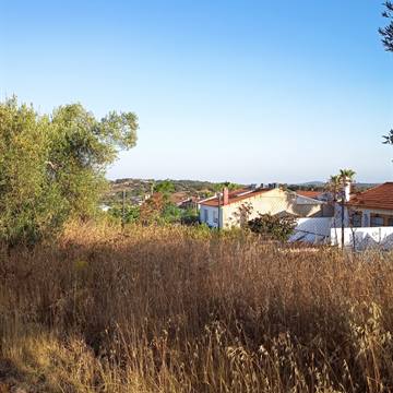 Ver el pueblo desde la parcela