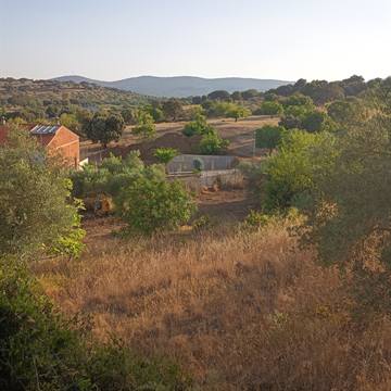 Ver las casas y la dehesa