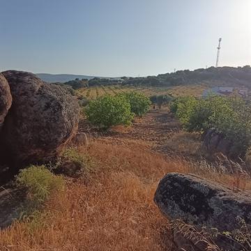 Ver las higueras y la sierra
